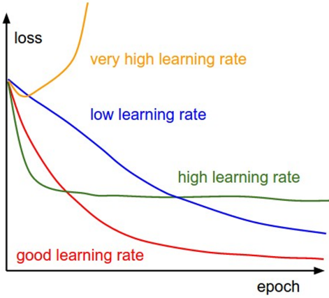 Learning Rate Schedules