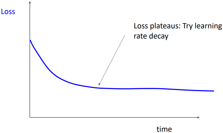 Loss plateaus