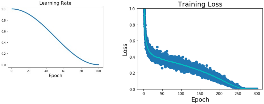 Cosine Decay
