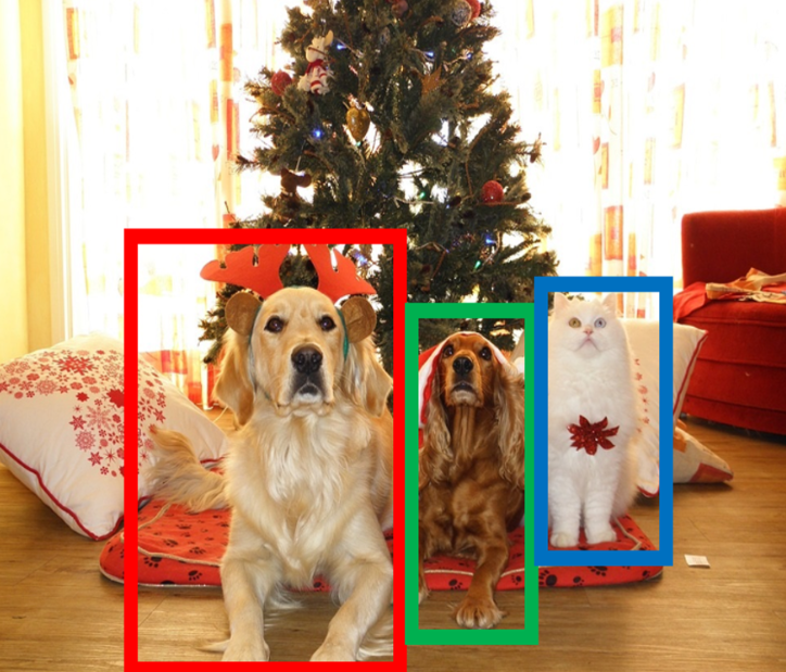 Object Detection