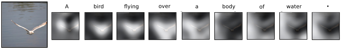 Image captioning result