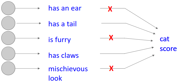 Co-adaptation
